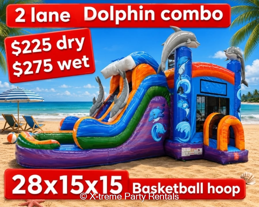 2 lane Dolphin Combo ( DRY ) - Inflatable Rentals in Devine, San ...